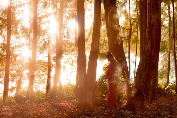 MFrazzini Maternity Forest Composite - Watermarked_